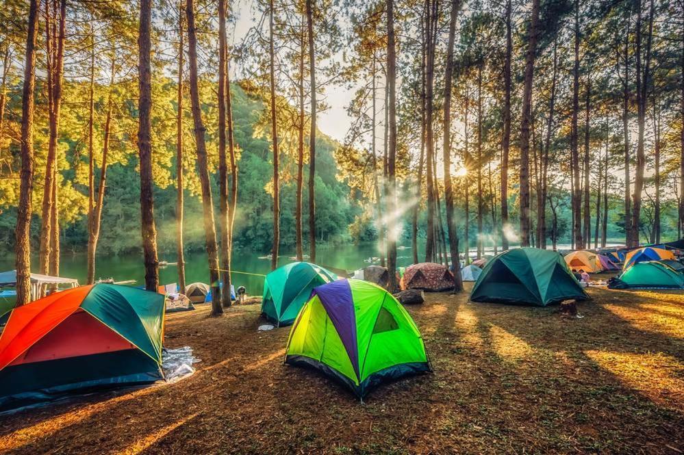 Village Camping *